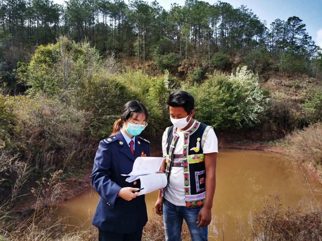 巍山干部出力，帮贫困户滞销农产品找销路