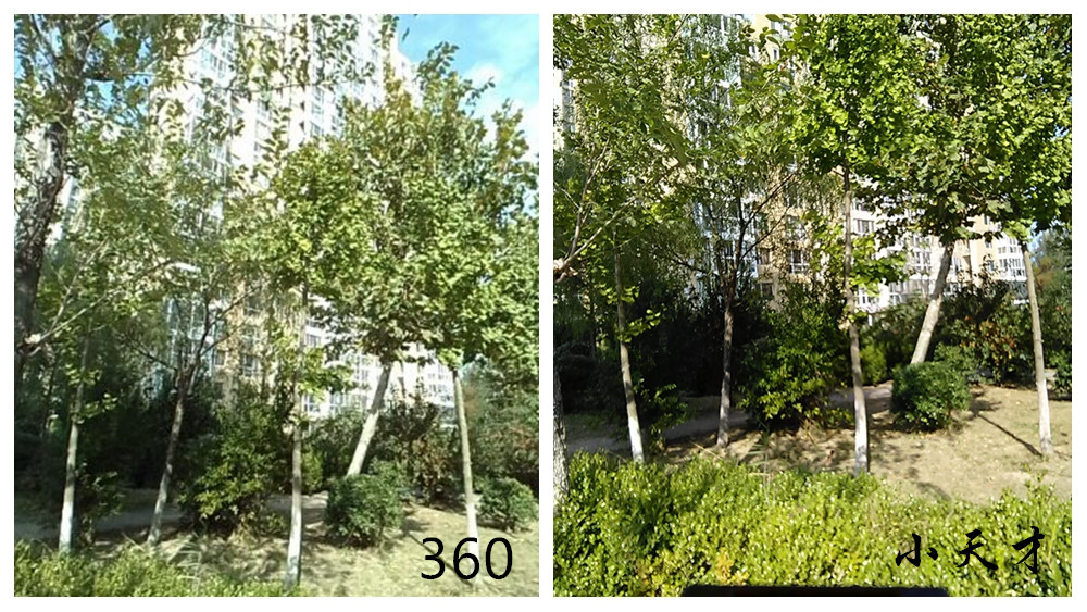 儿童电话手表哪个品牌好小天才z5,360儿童手表vs小天才6