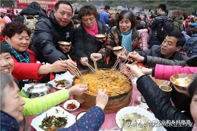 如何打造一个有特色的农家乐,休闲农庄7种盈利模式