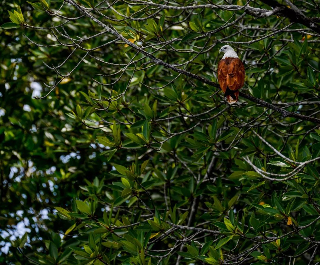 成都宝妈:孩子征服世界的第一站