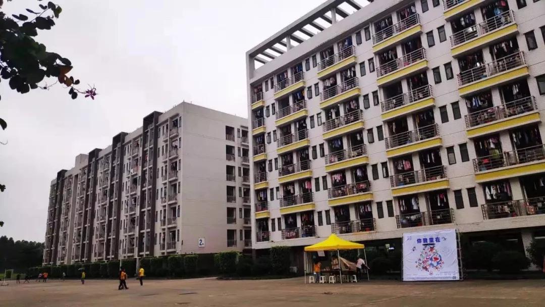 广东第二师范学院数学系,广东第二师范学院分数线