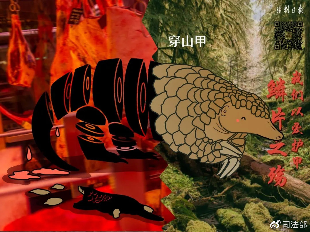 拒绝野味该做到的事情,呼吁大家拒绝野味怎么说