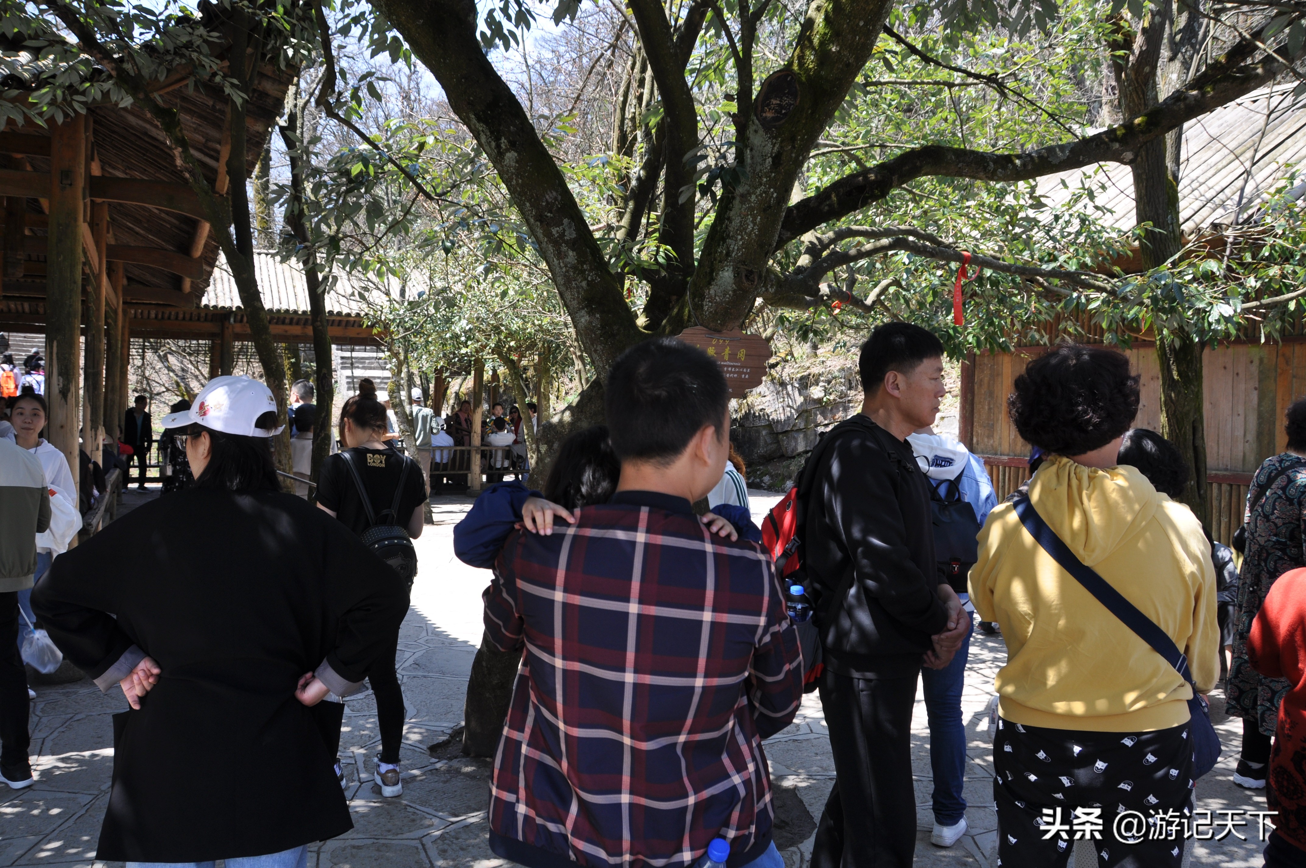 天门山未解之谜,天门山玻璃栈道