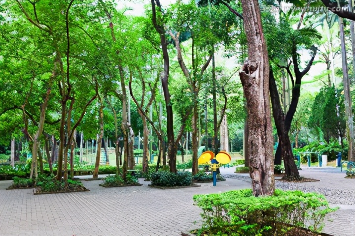 深圳宝安区跑步路线推荐,深圳大学城附近游泳和跑步的地方