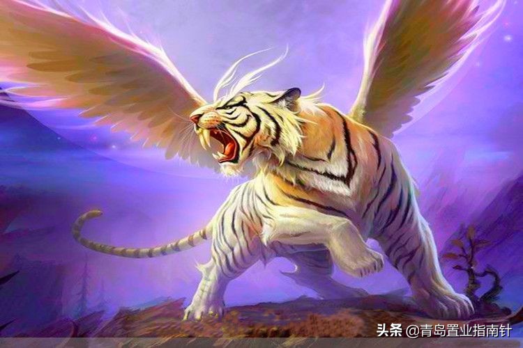 星光岛萤光海,星光岛东方影都星朗