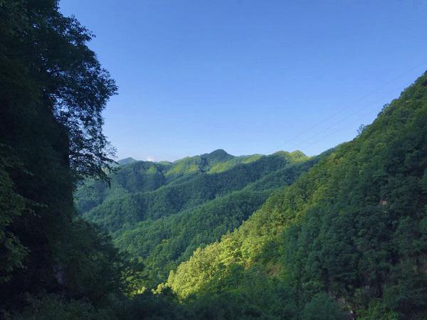 河南有山有水4a景区青天河,河南哪里有山有水有竹林