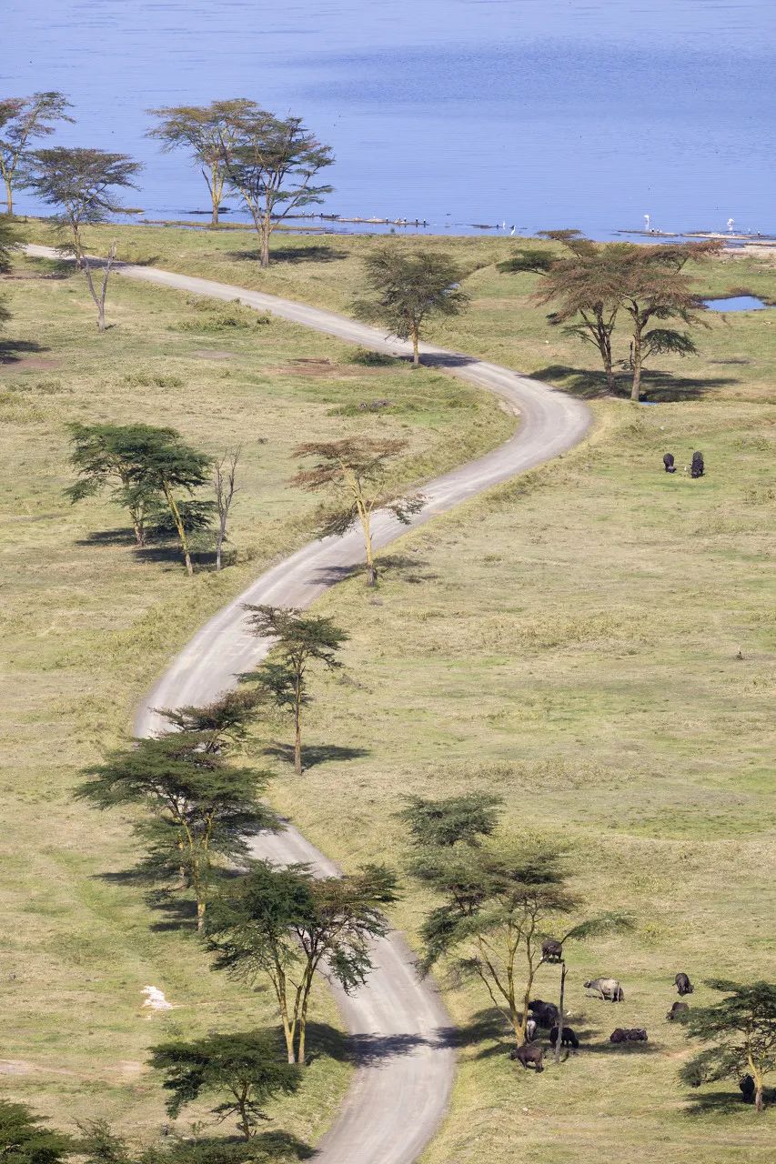 你知道世界最美的地方在哪里吗,欣赏世界上最美的80个地方