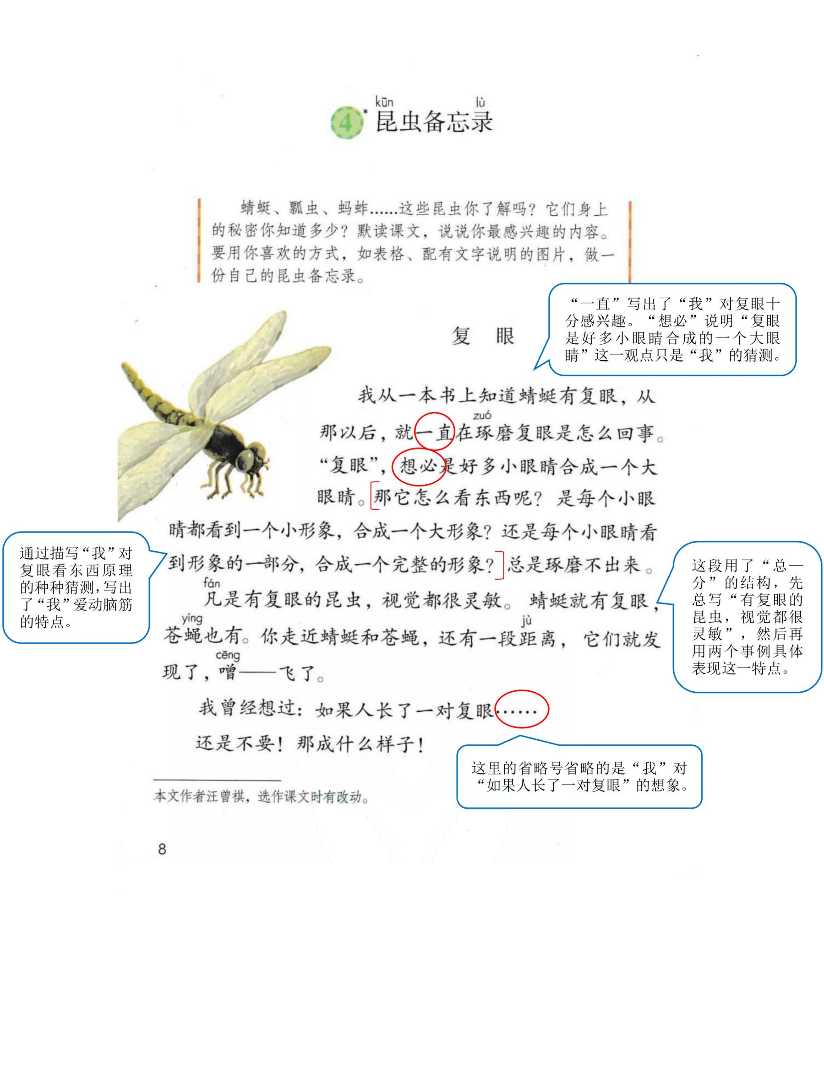三年级语文下人教版第一单元笔记,三年级语文下册笔记完整版三单元