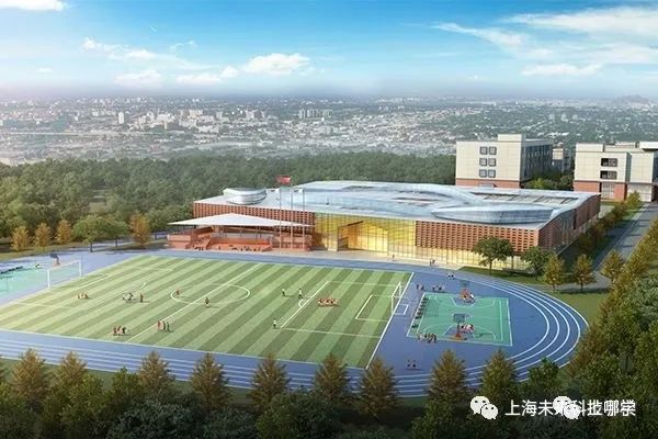 上海浦东新区100所中小学,浦东新区全区招生小学