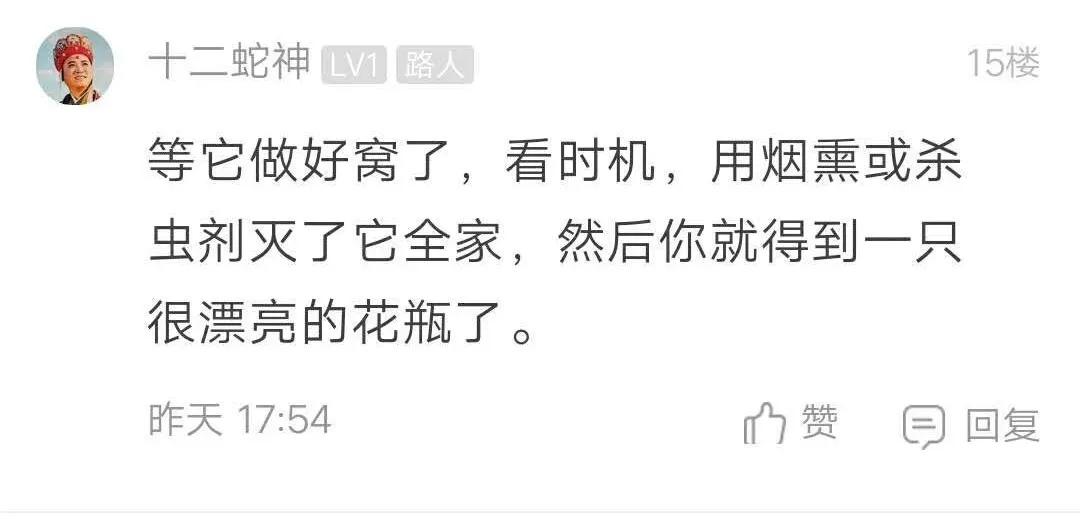 阳台被胡蜂建窝有什么讲究,野蜂在客厅窗户外筑巢是什么征兆