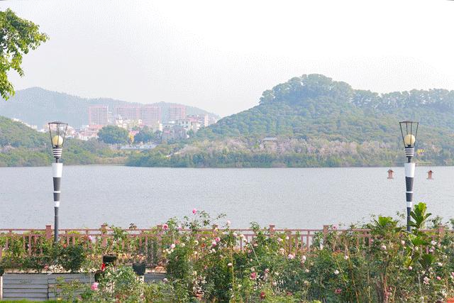 深圳十个小众打卡地,在深圳这些地方既小众又值得打卡