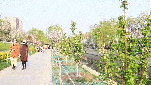 北京人少景美赏秋的公园,北京赏秋中山公园