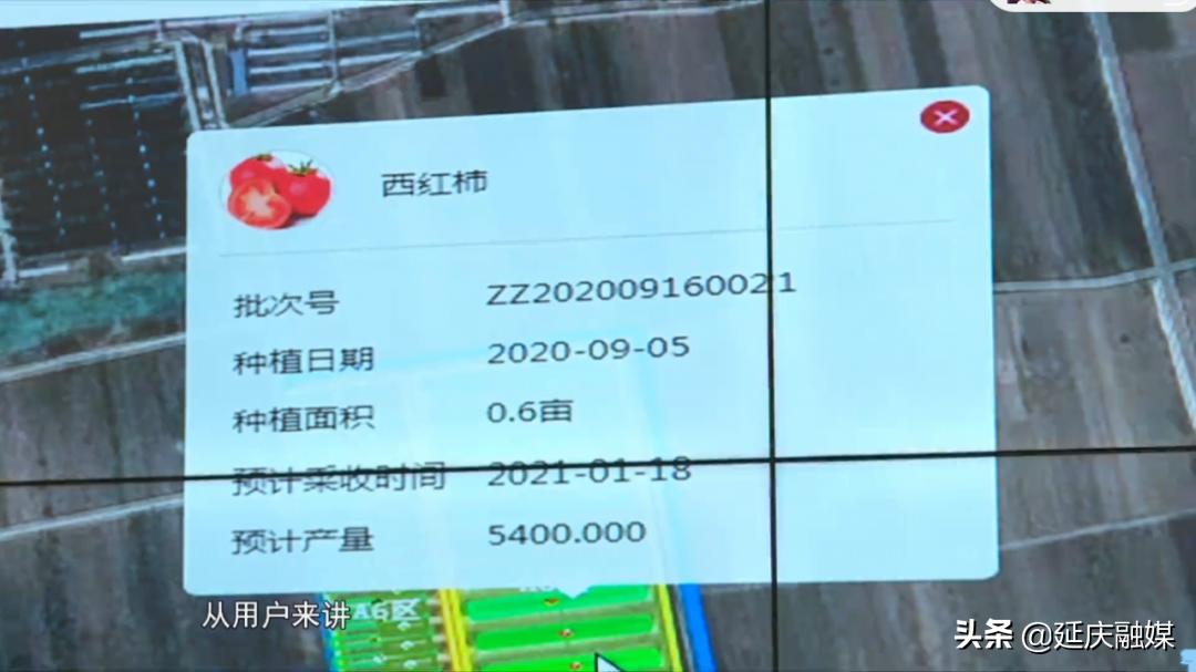 政协委员关于农业的提案,政协聚焦生态拿出更多提案建议