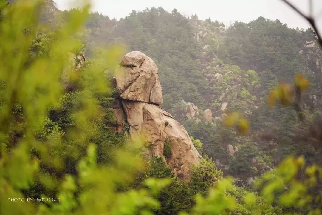 北京京郊童话树屋,台湾神奇的树屋