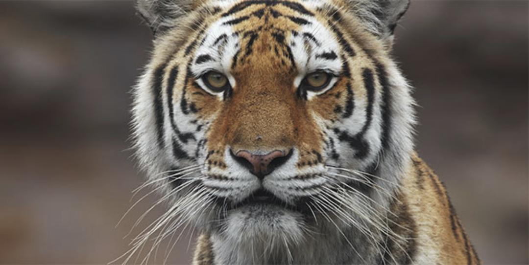 一周行业快报｜《人民的小康》即将播出；“9·11”系列纪录片确认在全球多国上线