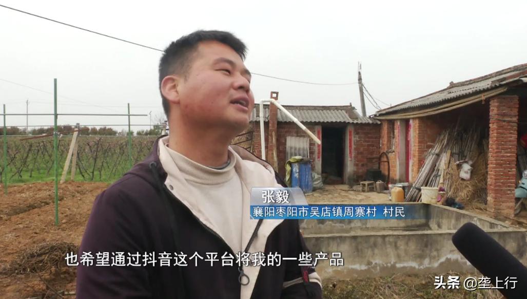 蚯蚓养殖创业项目,农村养蚯蚓致富项目