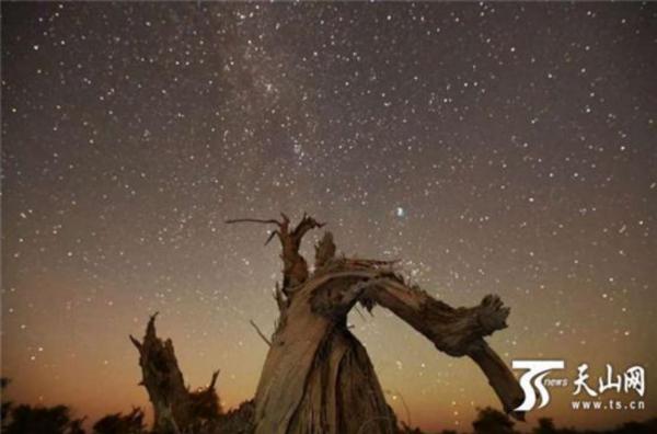 伊吾胡杨林四季皆可游,走进伊吾胡杨林