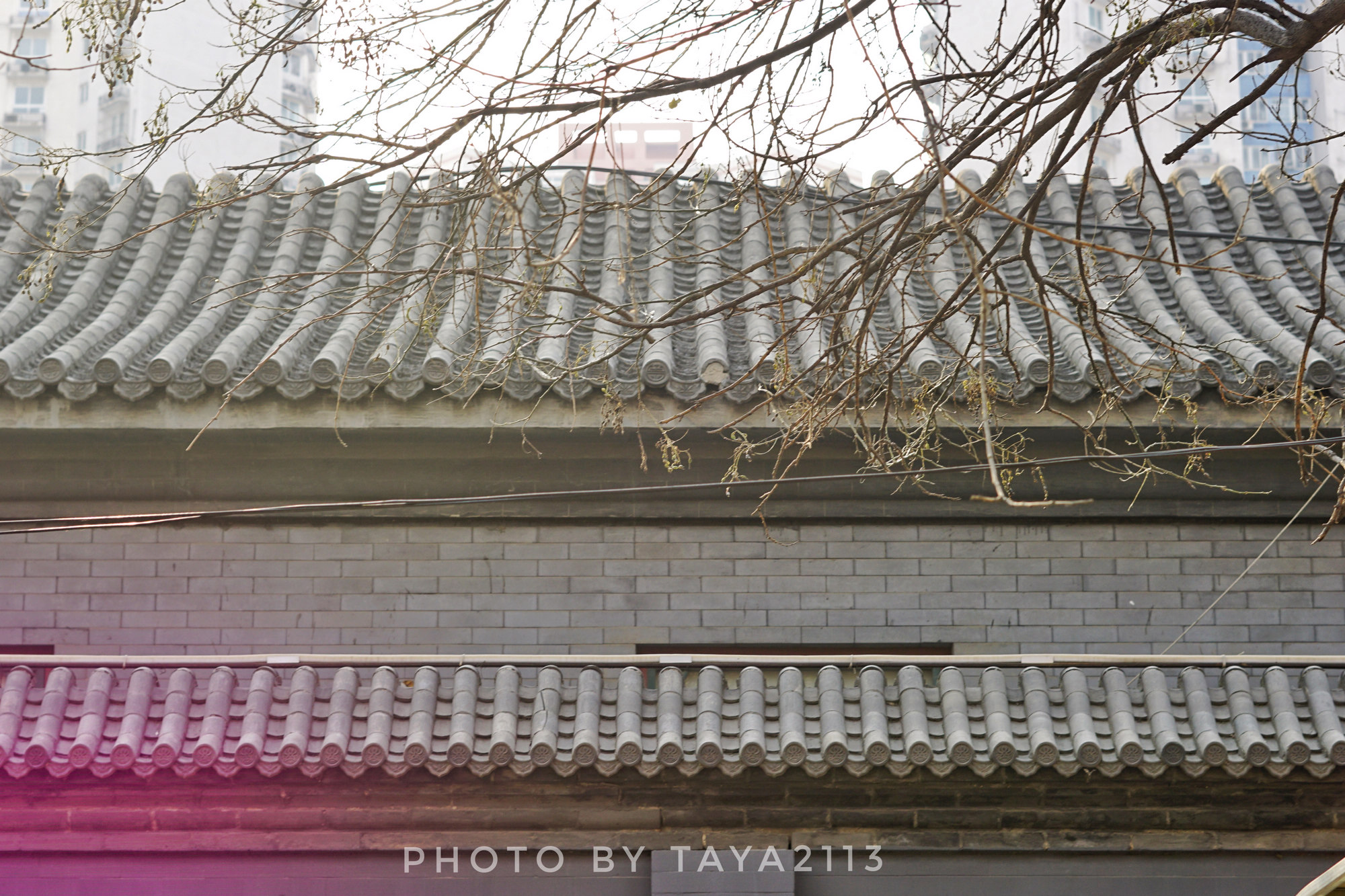 北京朝阳：你是这样的潘家园，闻名已久却让人失望——妞儿嬉游记