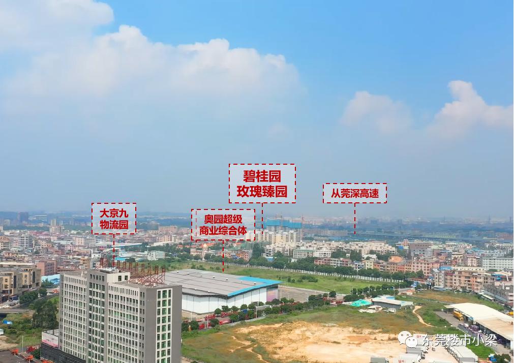 疫情后楼盘首开,东莞碧桂园玫瑰臻园户型图