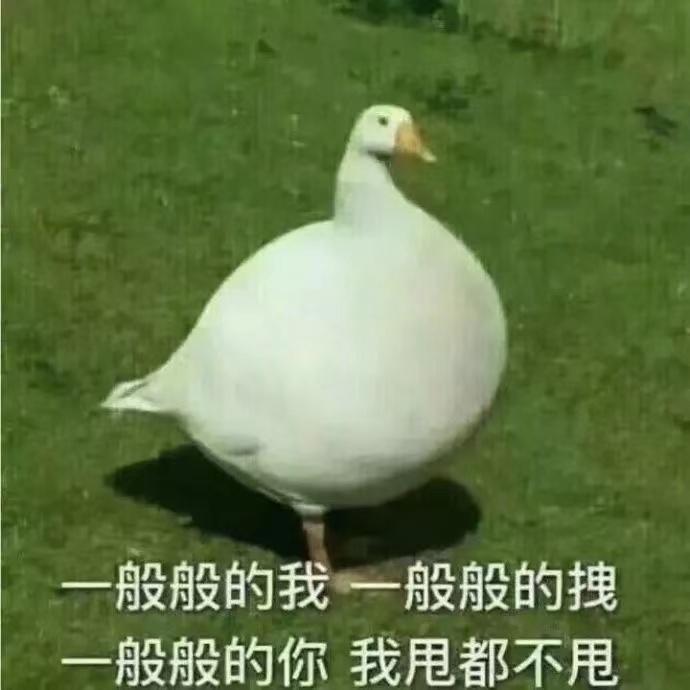 攒钱买波司登 (买大鹅还是买波司登)