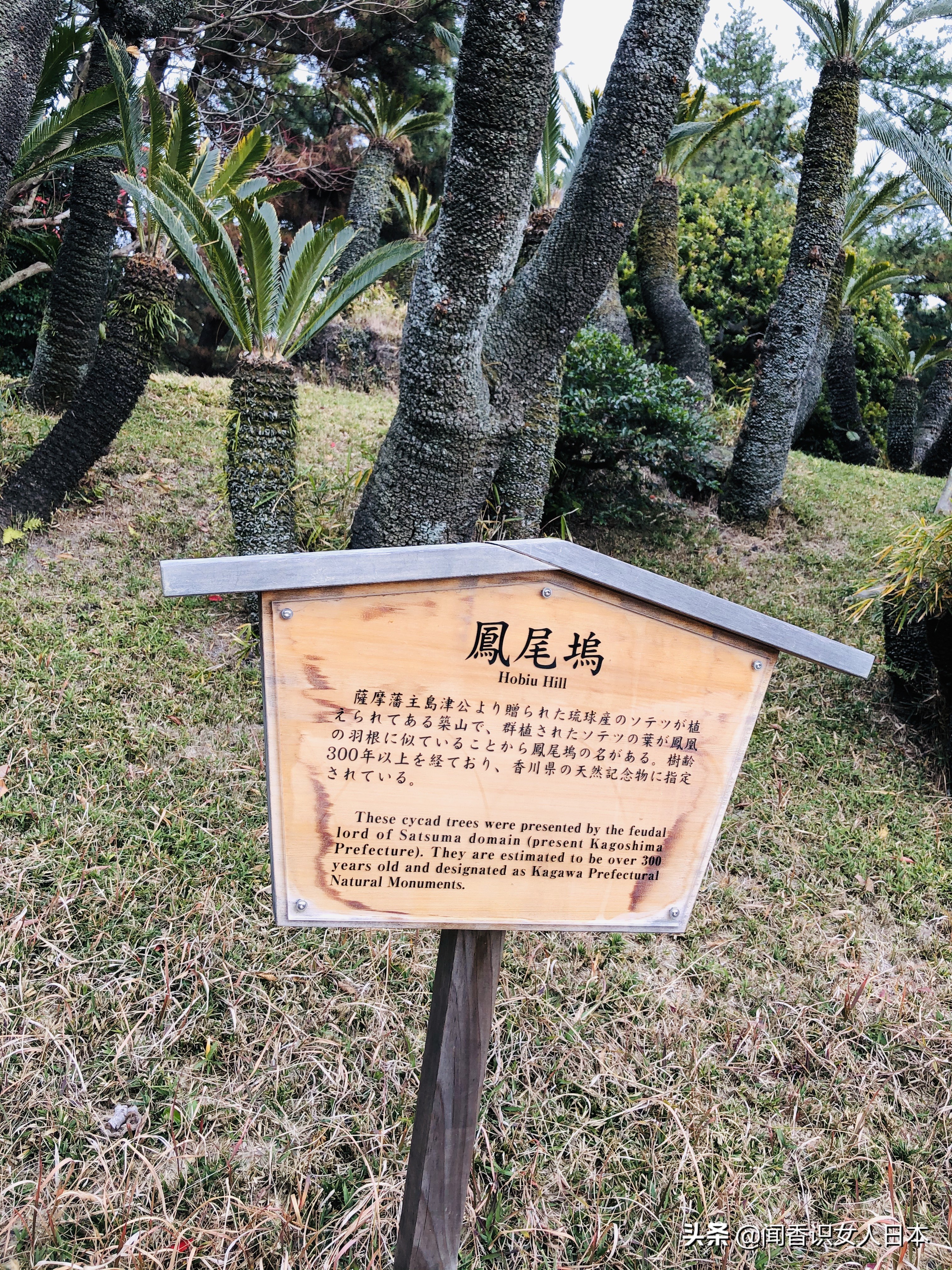 日本的米其林三星餐厅,日本米其林三星参观