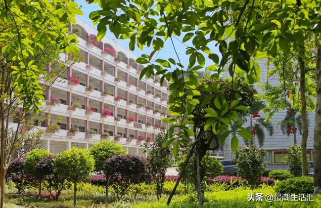 五华田家炳中学美术,五华田家炳中学简介