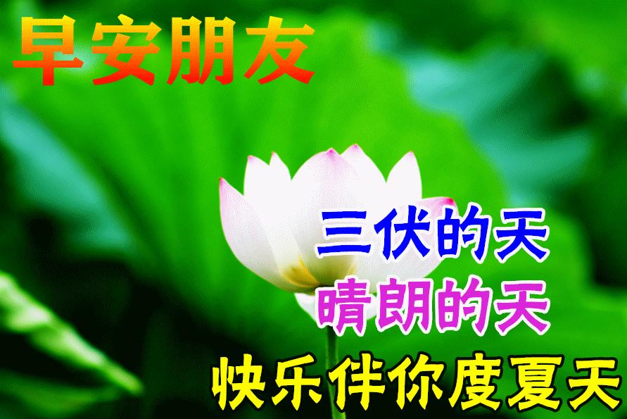 早上好周末愉快问候语动态表情包,周一问候早上好带字美图