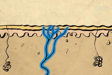 不小心被纸划伤手指怎么办,手指被纸划伤寓意