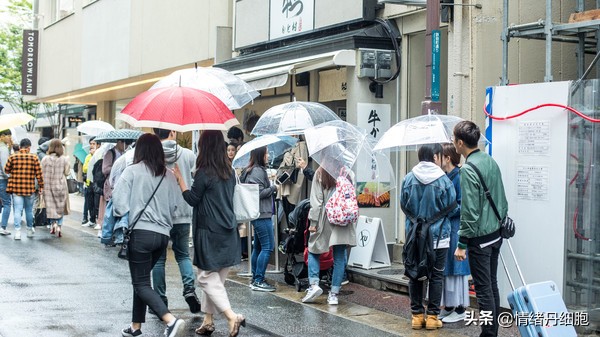 邮轮游选择哪个游轮好,邮轮旅游全攻略公主号