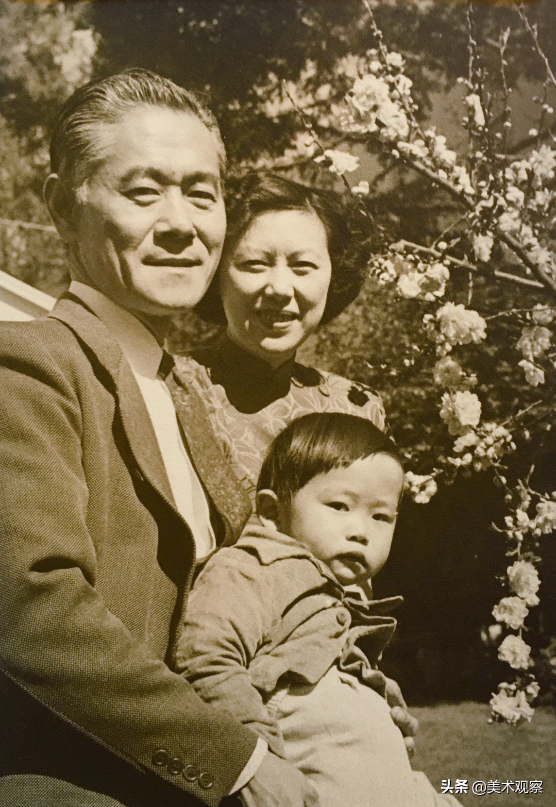 疏影暗香——舒建华谈张书旂的艺术贡献