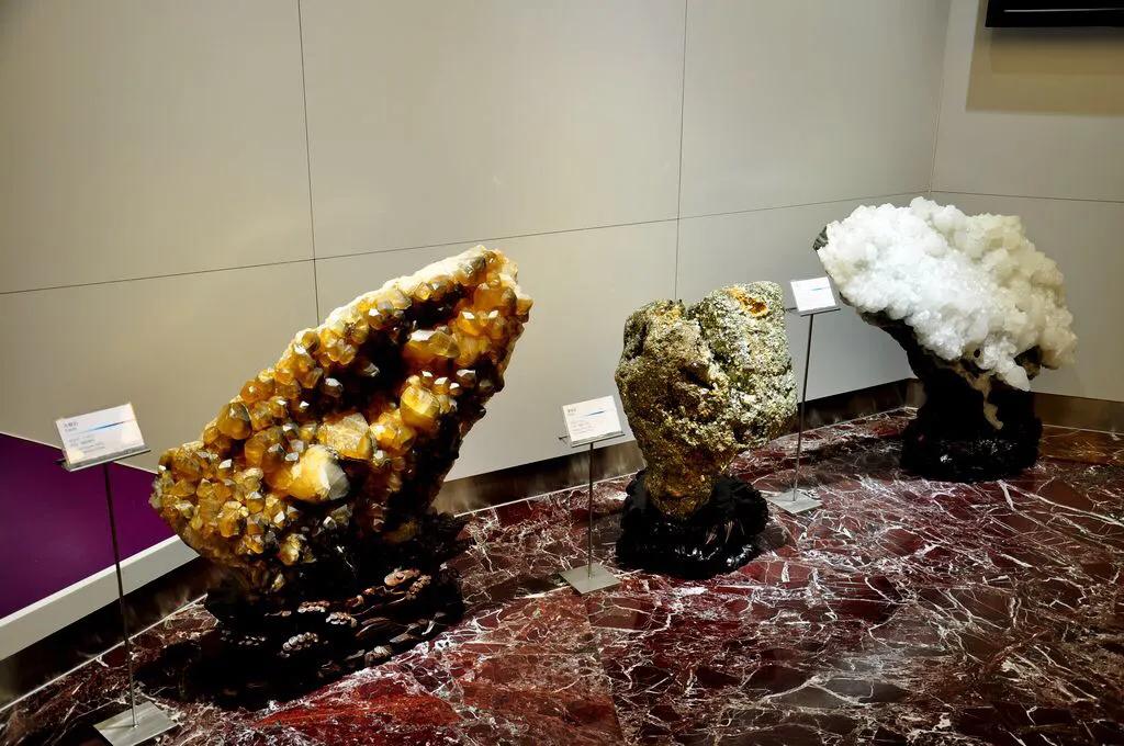 有哪些好玩的地方适合儿童深圳,深圳适合小朋友玩的8个免费景点