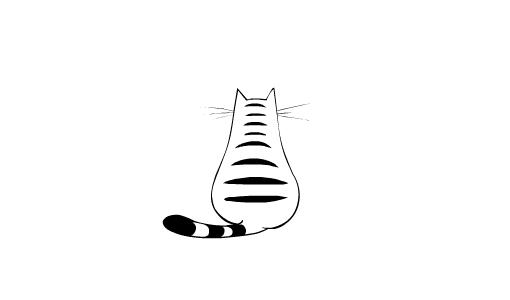 养猫怎样照顾猫,刚刚领养幼猫怎么养