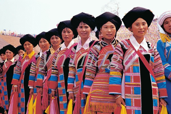 中国56个民族知识大全书籍,关于中国56个民族的知识