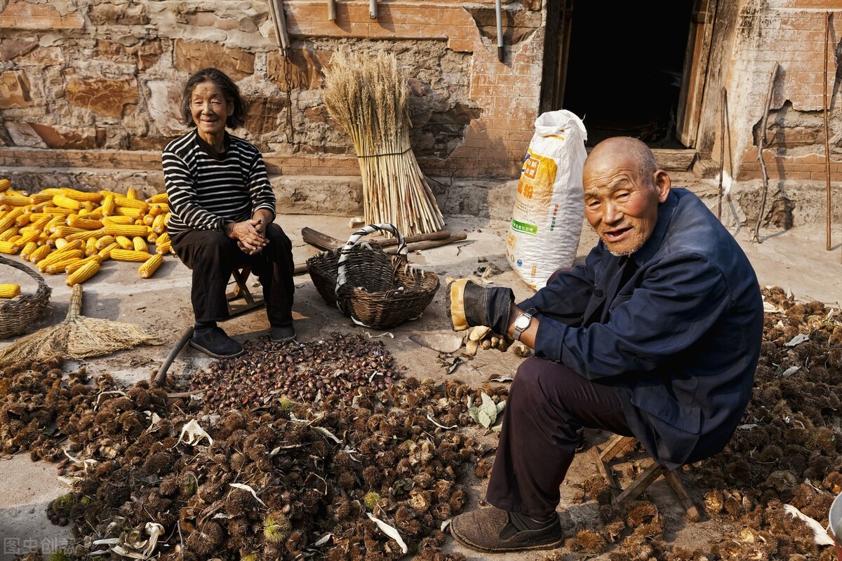 人到老年没积蓄,人到晚年很可怜没有钱用无人管