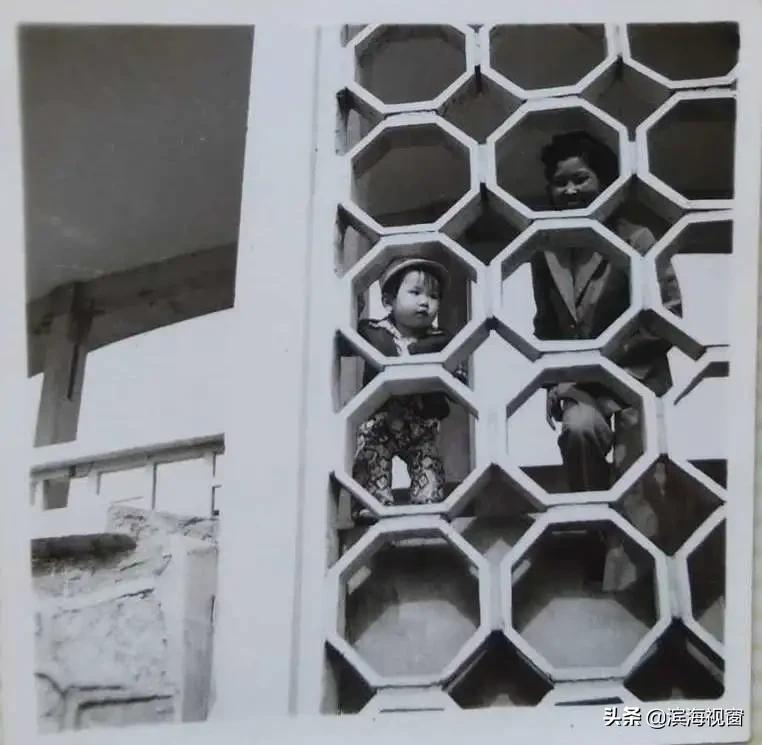 河滨公园历史简介,塘沽河滨公园老照片