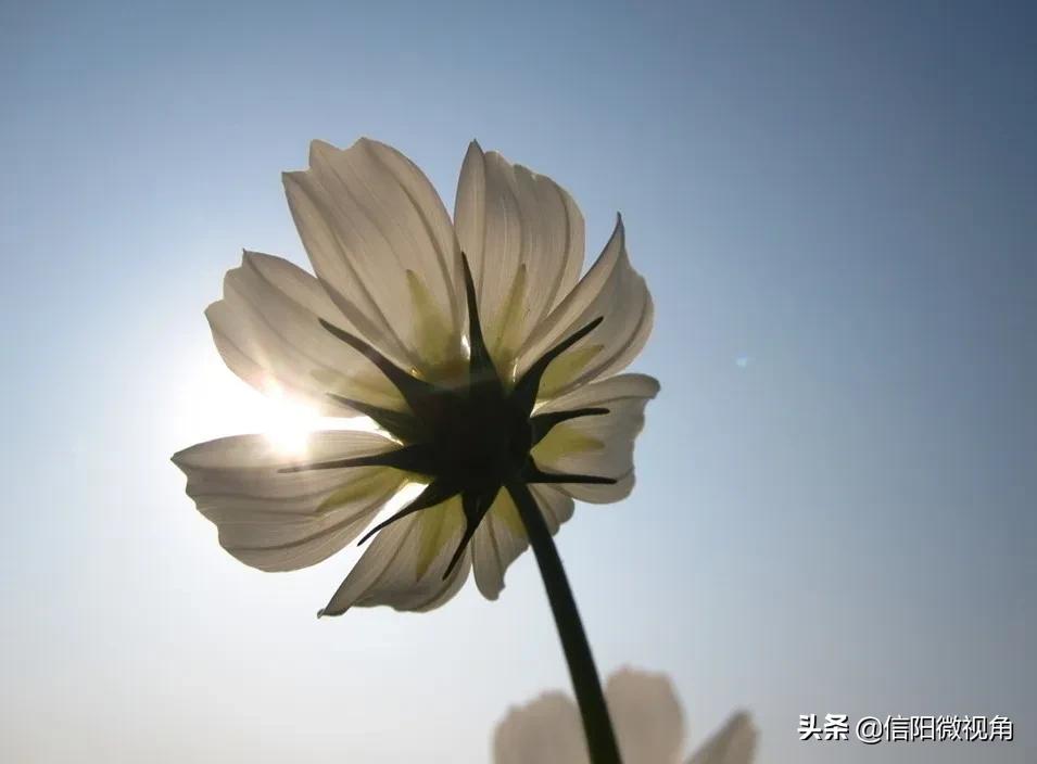 信阳清零的重要时刻,信阳清零的重要时间