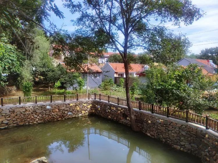 济南申请加入“大乱斗”!@理塘丁真,你的珍珠……泉在这里!