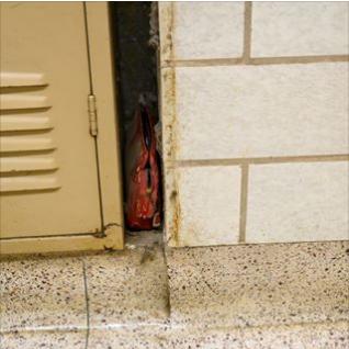 美国一手提包丢失，过了62年才找到失主，可惜人早已经不在了