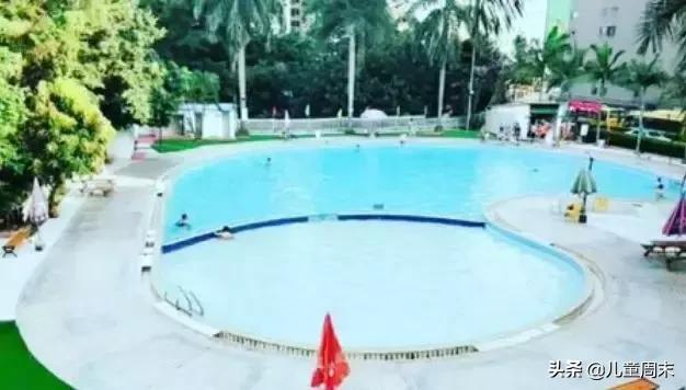 深圳游泳教练培训学校有哪些,深圳成人游泳培训班哪里好