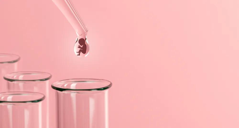 当取卵针戳进我的卵巢,把卵泡一颗颗吸出来时,丈夫在隔壁取精室看片取精|成为母亲