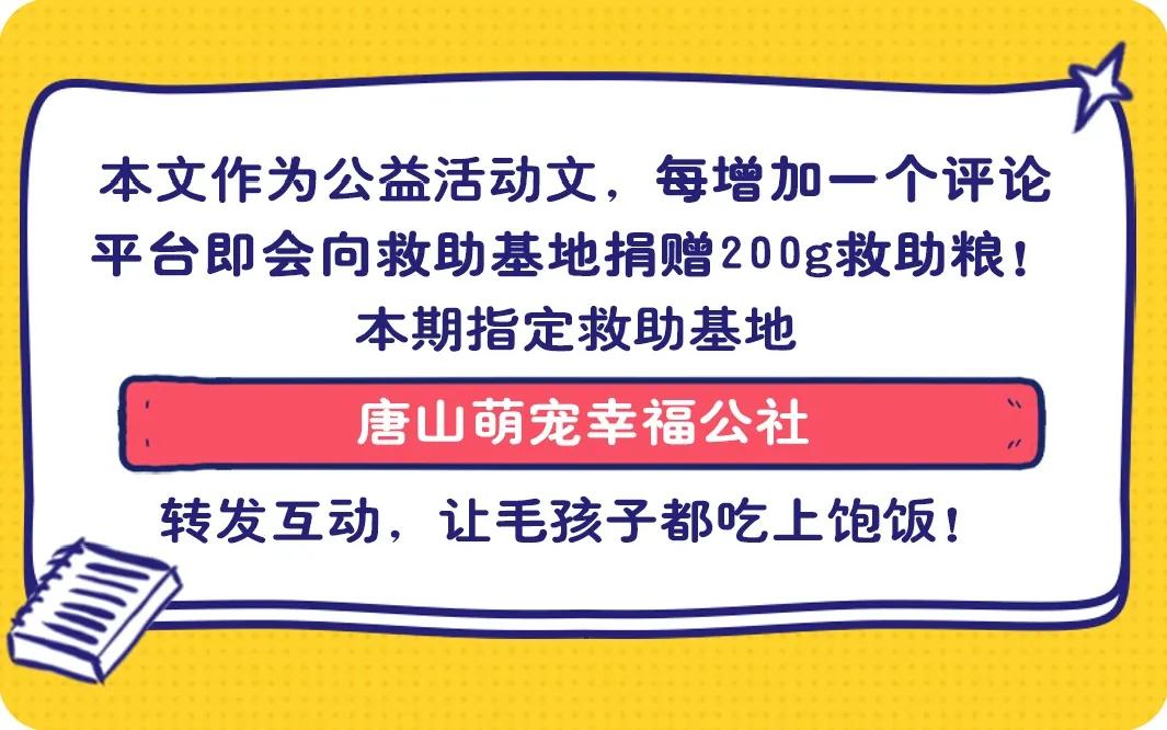 繁殖犬悲惨的下场,一只繁殖犬的悲惨生活