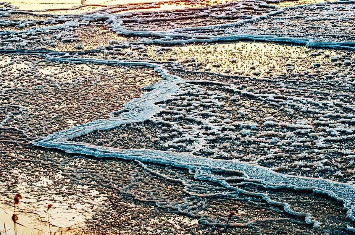 冬季的庭院景观,美丽如画的自然景观让人心旷神怡