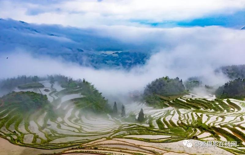楠溪江为什么叫山水画摇篮,中国山水画林泉高致