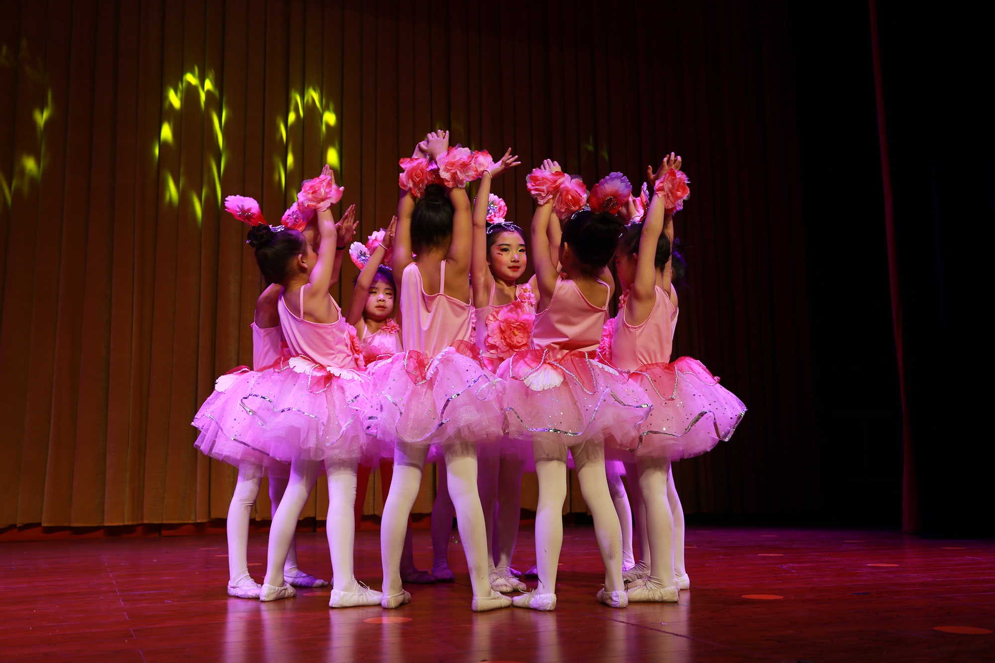 金鸡艺术《舞动人生梦想起航》专场晚会在青少年活动中心演出