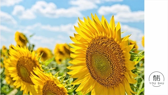 十级孤独你能经受几级,十级孤独你能忍受到几级测试