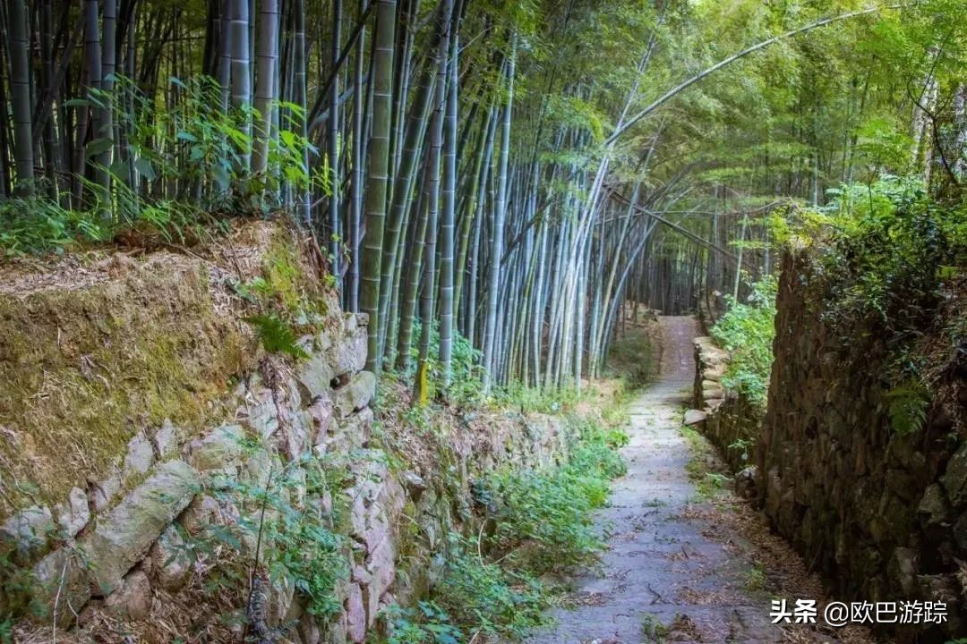 绍兴古道攻略一日游自由行,此生必去的三条国道