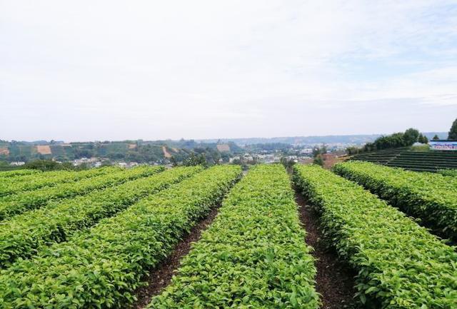 四川自古以来富有吗,四川古时候富有吗
