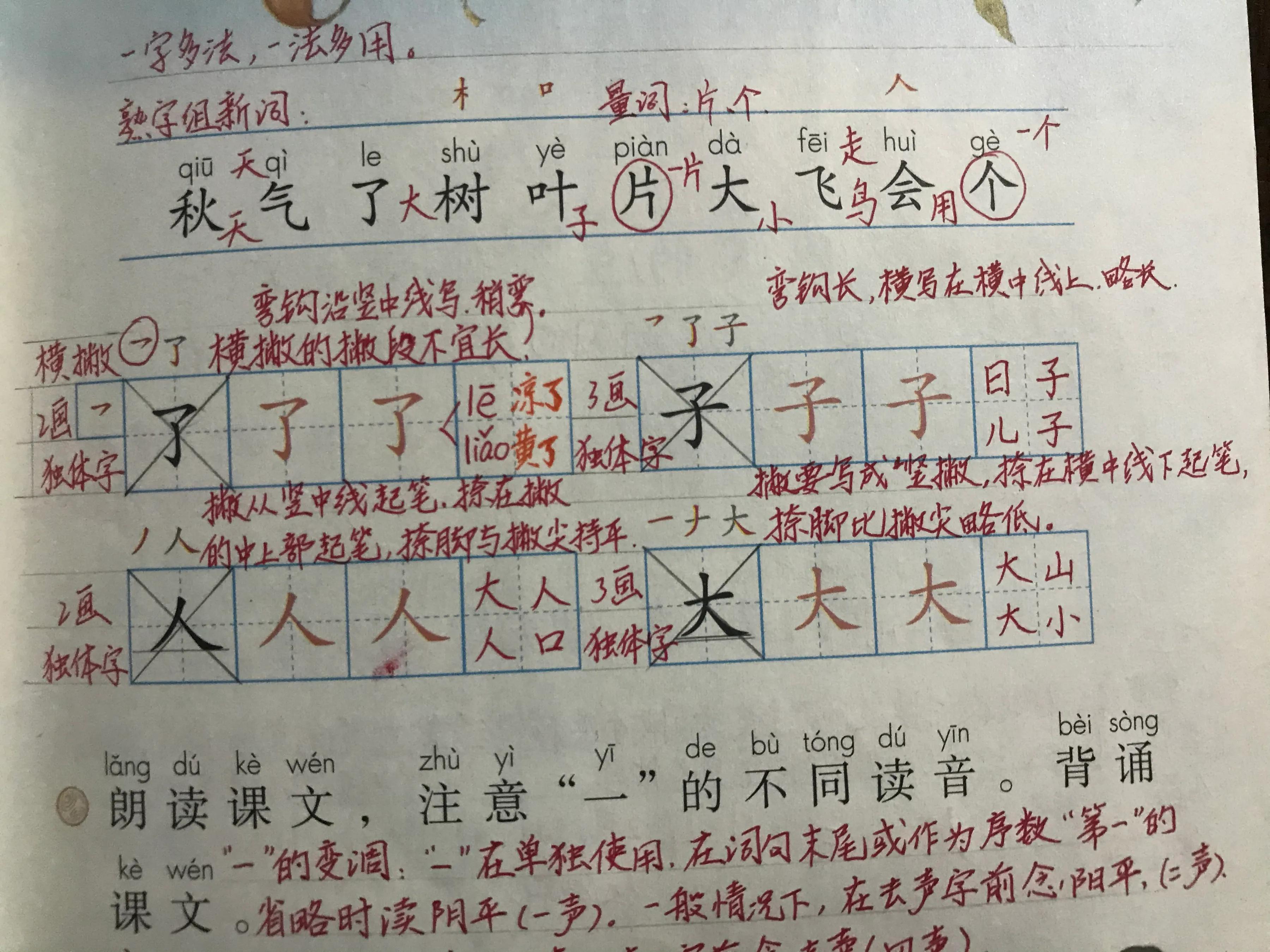 一年级语文读课文标准细则,一年级语文读题识字技巧