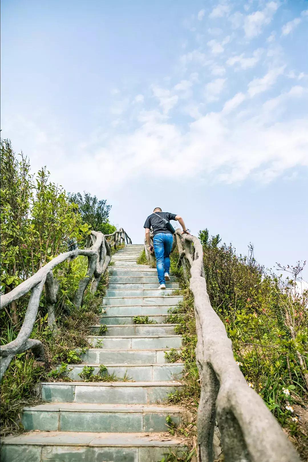 附近莲塘,附近的莲塘
