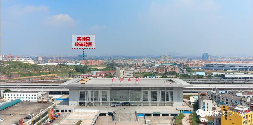 东莞市碧桂园玫瑰臻园,疫情后楼盘首开